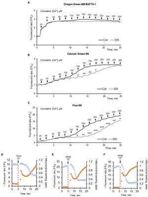 Analysis of Mitochondrial Calcium Retention Capacity in Cultured Cells: Permeabilized Cells Versus Isolated Mitochondria